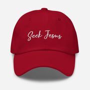 Seek Jesus Christian Dad Hat